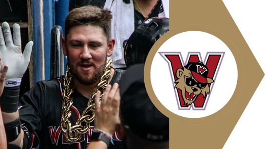 Czech homers again in series opener taken in Washington, Pa. (Wild Things)